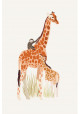 Affiche - Girafes