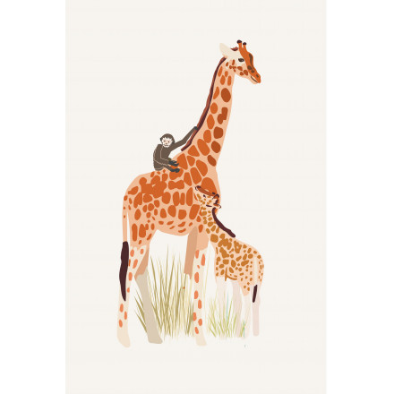 Poster - Giraffe