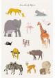 Affiche - animals of Africa